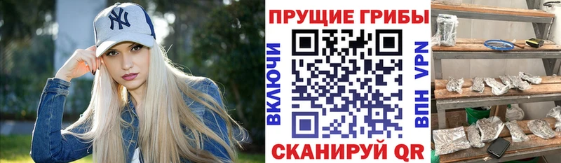 Галлюциногенные грибы мицелий kraken вход Разумное где продают наркотики